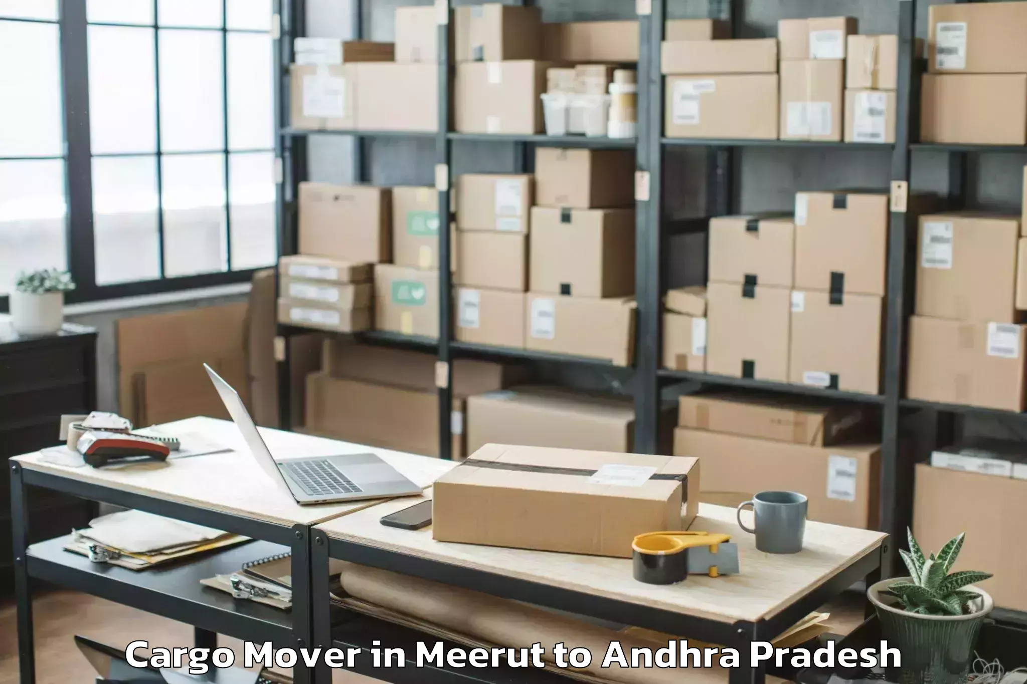 Affordable Meerut to Duvvur Cargo Mover